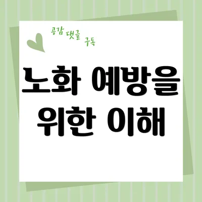 노화 예방을 위한 이해