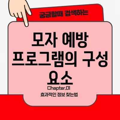 모자 예방 프로그램의 구성 요소