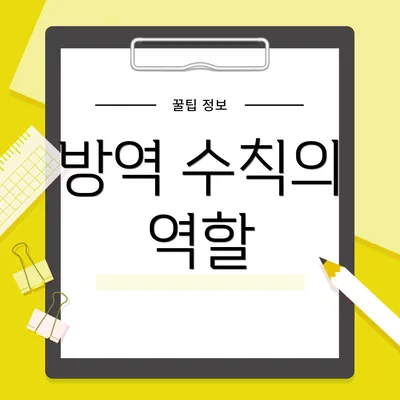 방역 수칙의 역할