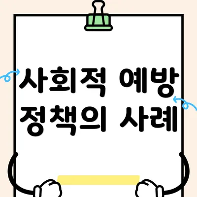 사회적 예방 정책의 사례