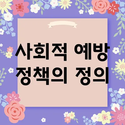 사회적 예방 정책의 정의