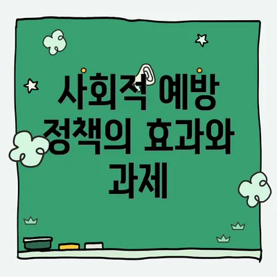 사회적 예방 정책의 효과와 과제