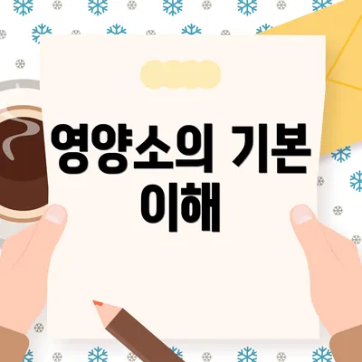 영양소의 기본 이해