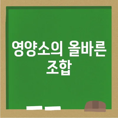 영양소의 올바른 조합