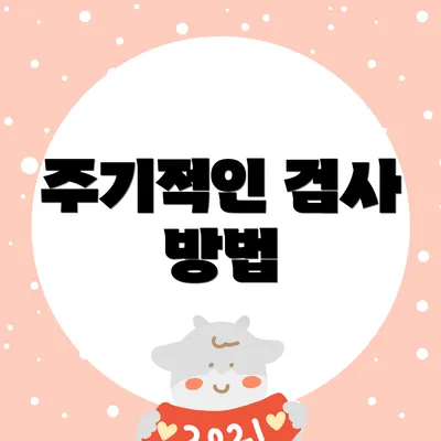 주기적인 검사 방법