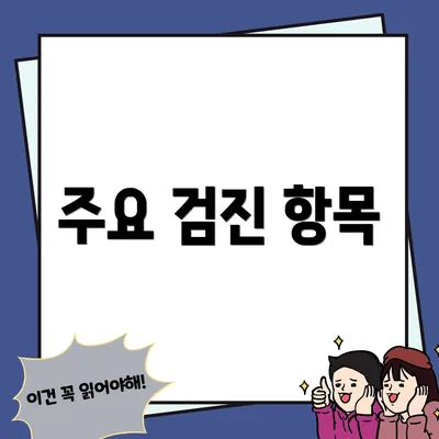 주요 검진 항목