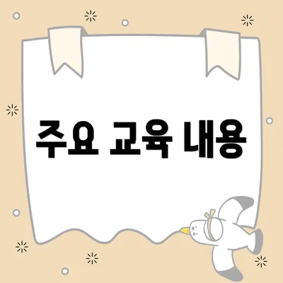 주요 교육 내용