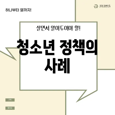 청소년 정책의 사례