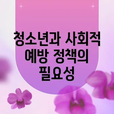 청소년과 사회적 예방 정책의 필요성