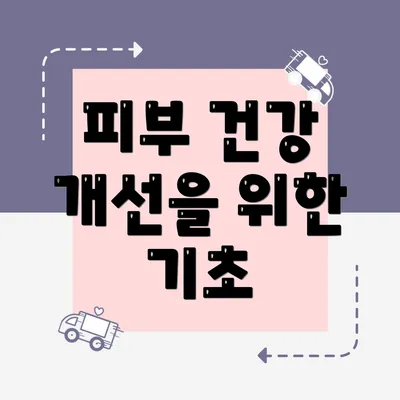 피부 건강 개선을 위한 기초