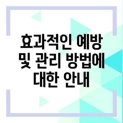 효과적인 예방 및 관리 방법에 대한 안내