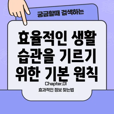 효율적인 생활 습관을 기르기 위한 기본 원칙