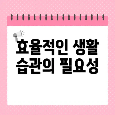 효율적인 생활 습관의 필요성