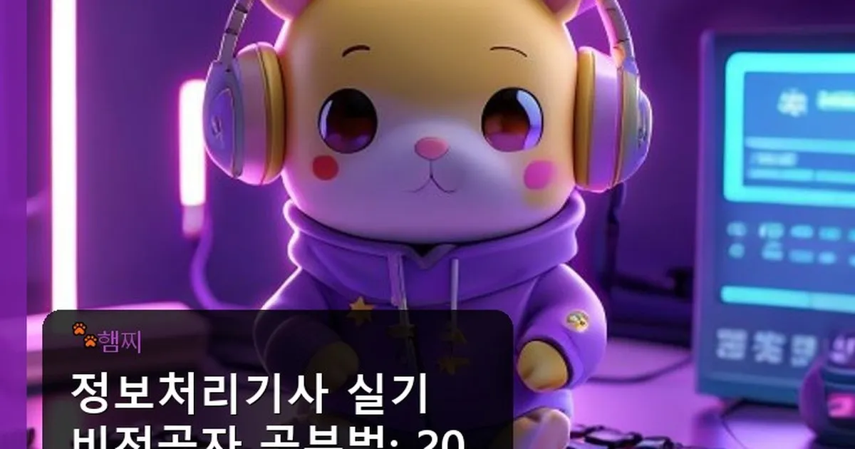 정보처리기사 실기 비전공자 공부법 - pikachu12.com 캐릭터