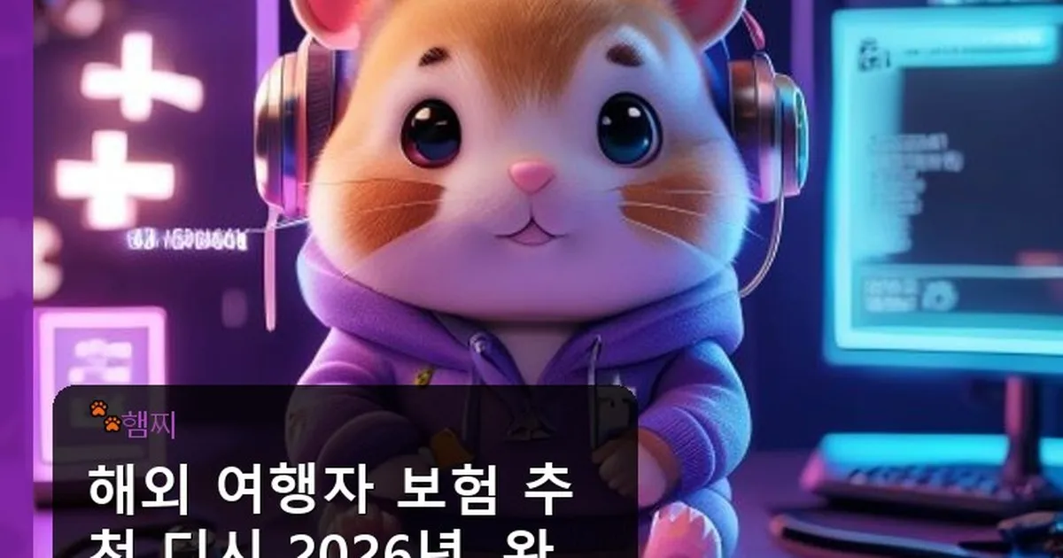 해외 여행자 보험 추천 디시 - pikachu12.com 캐릭터