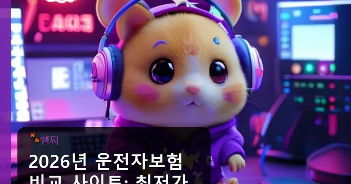 운전자보험 비교 사이트 - pikachu12.com 캐릭터